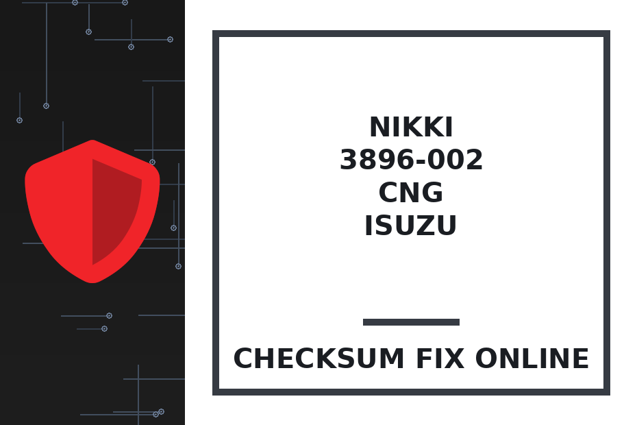 NIKKI 3896-002 CNG ISUZU — checksum fix online · CHIPOK