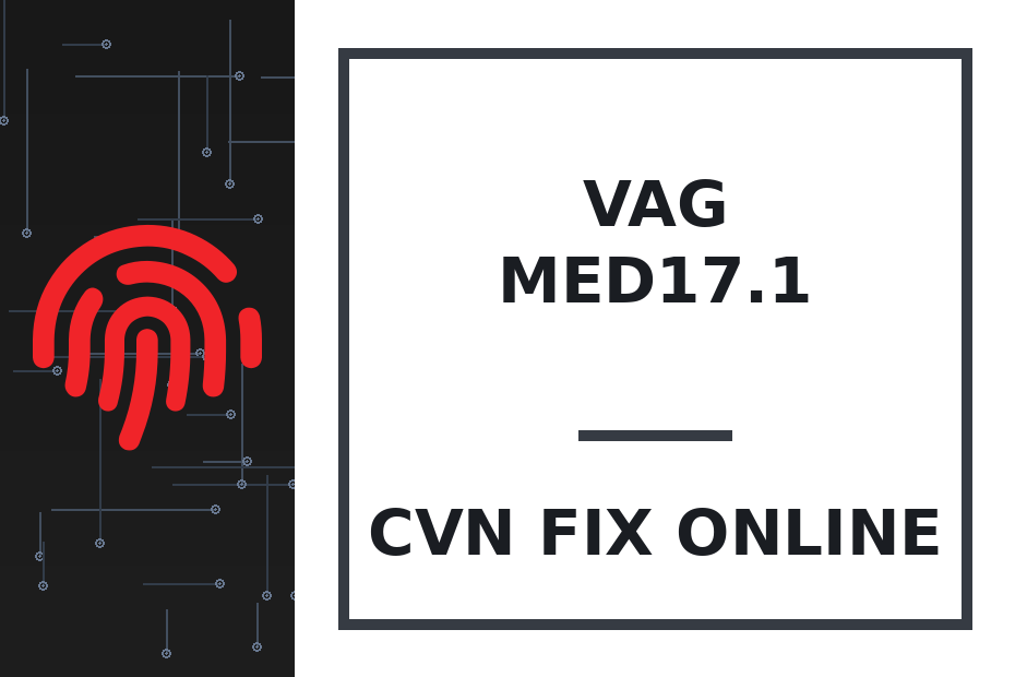 MED17.1 CVN — Audi / Seat / Volkswagen