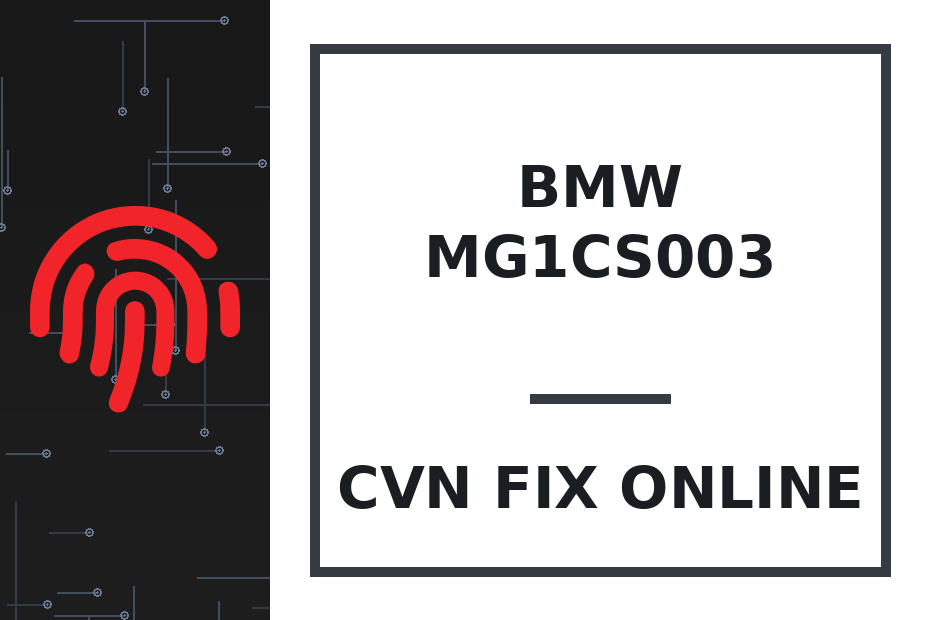 MG1CS003 CVN — BMW